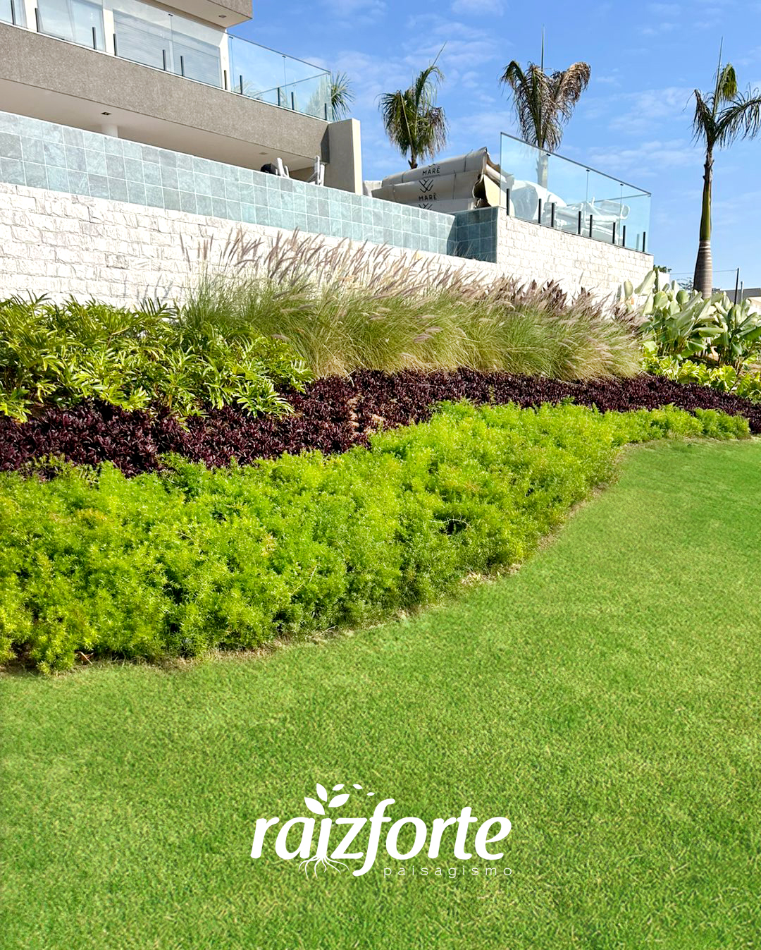 Raiz Forte Paisagismo
